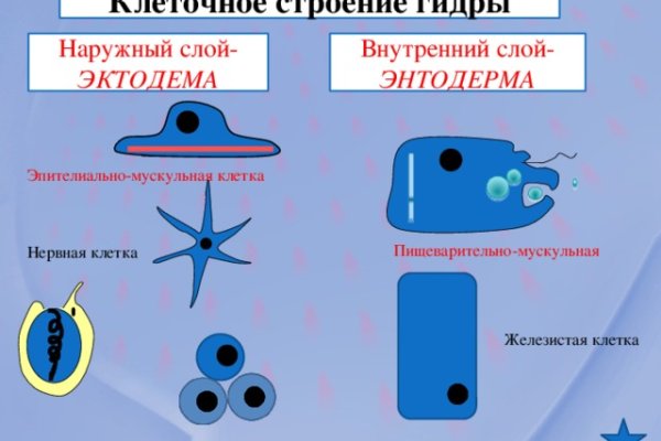 Кракен 17 рабочая ссылка