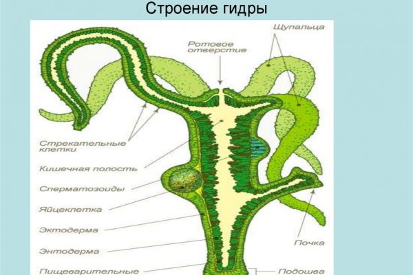 Кракен рабочая ссылка 2024